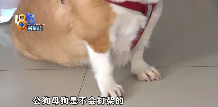 DƬ